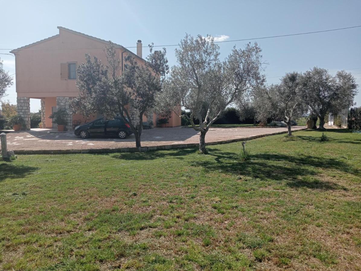 Villa In Campagna Tra Natura E Verde Montalto di Castro Exterior photo