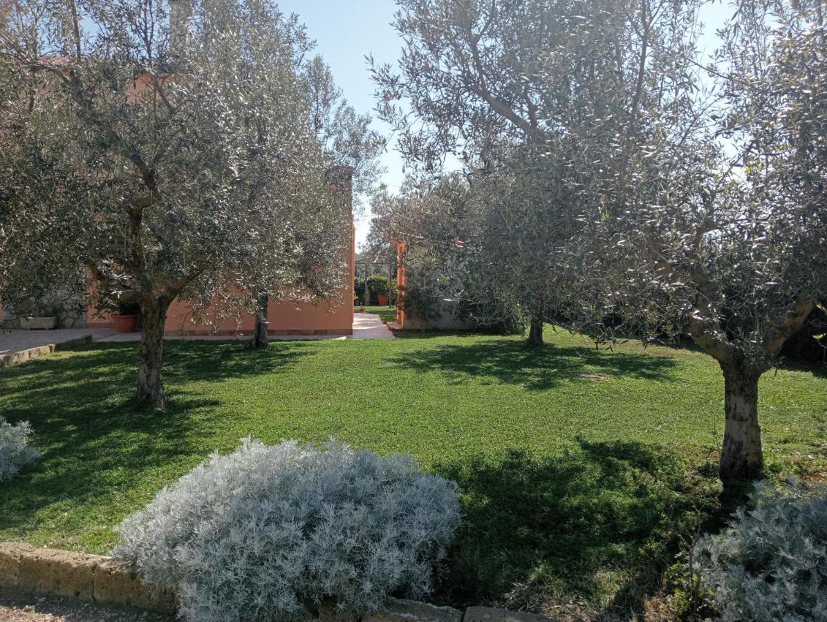 Villa In Campagna Tra Natura E Verde Montalto di Castro Exterior photo